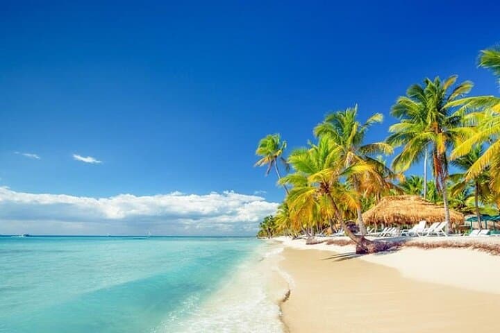 Saona Island Catamaran & Speedboat Tour from Punta Cana — Day Trip to White-Sand Beaches photo 6