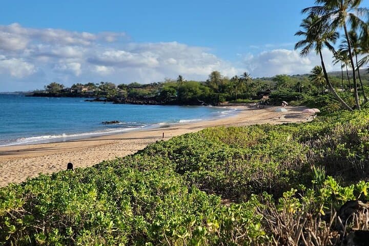 Maui Hike, Snorkel & Jamboree: Lahaina Pali Trail to Maluaka Beach Party photo 3