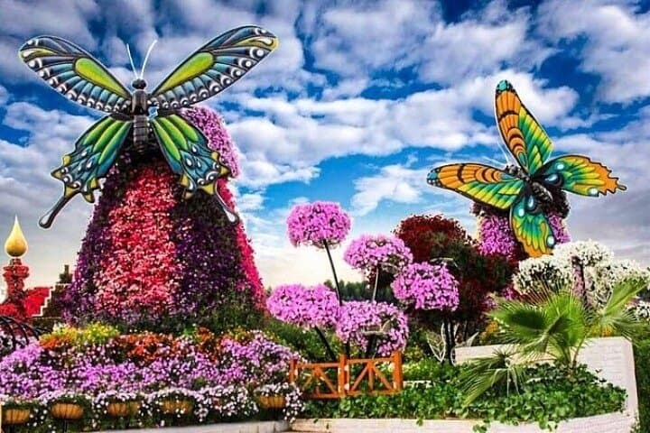 Exploring Dubai Miracle Garden: A Practical Visitor’s Guide to the 45-Million-Flower Wonderland