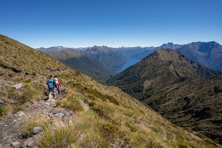 Fiordland Heli-Hike from Te Anau — Luxmore Summit Scenic Flight & Kepler Track Hike photo 4