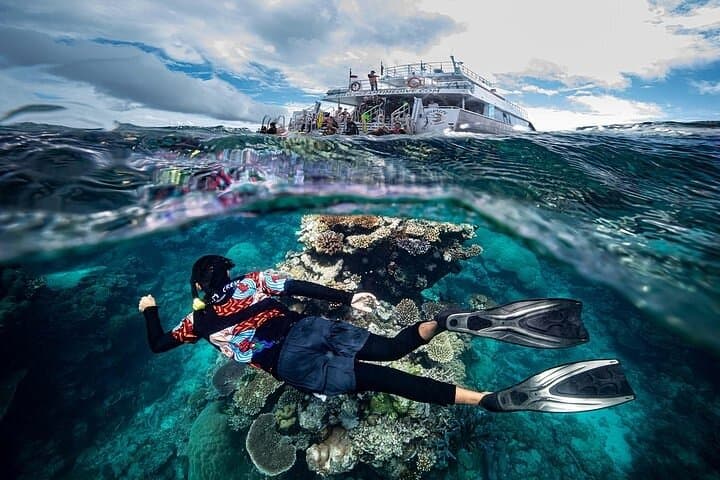 Dreamtime Dive & Snorkel — Great Barrier Reef Tour with Indigenous Sea Rangers photo 2