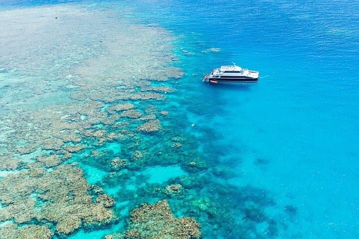 Dreamtime Dive & Snorkel — Great Barrier Reef Tour with Indigenous Sea Rangers photo 3