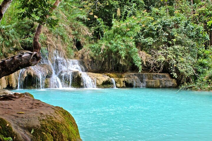 Half-Day Kuang Si Waterfall Tour from Luang Prabang — Pools, Trails & Village Stops photo 4