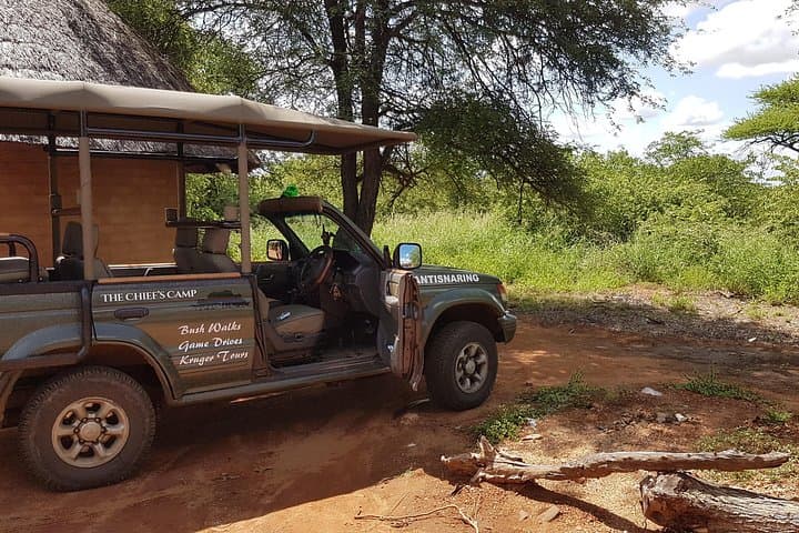 6-Day South-to-North Kruger Safari: Private Game Drives, Bushwalks & Night Drives photo 2