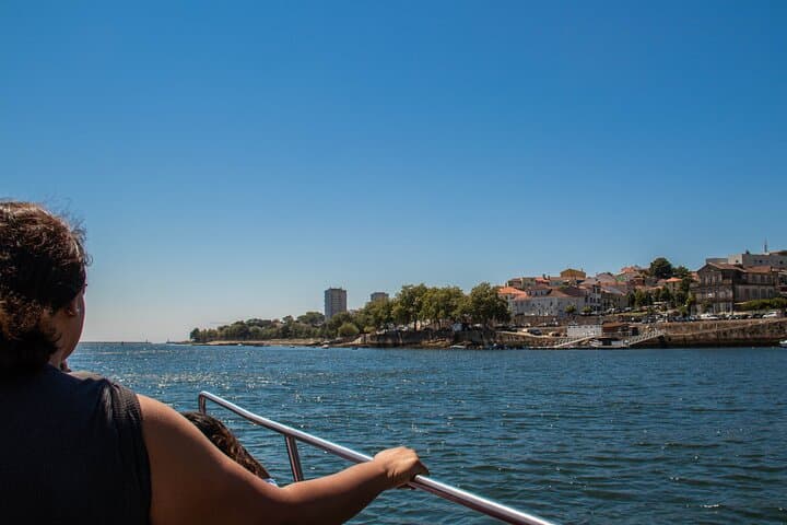 Porto Six Bridges Panoramic Cruise: 50-Minute Douro River Sightseeing Tour photo 3
