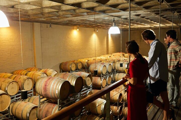 Cape Point to Stellenbosch: Cape Town Cape Point Penguins & Wineries Private Tour