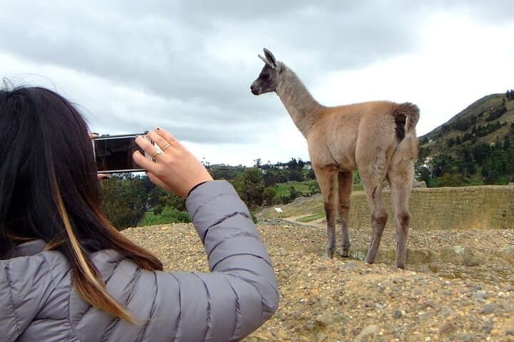 Cuenca & Cajas in 2 Days: Ingapirca Ruins, Gualaceo Markets and Cajas National Park photo 4