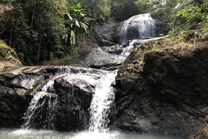 Rainforest Hike & Venus Estate Waterfall Safari — St. Lucia Day Tour photo 3