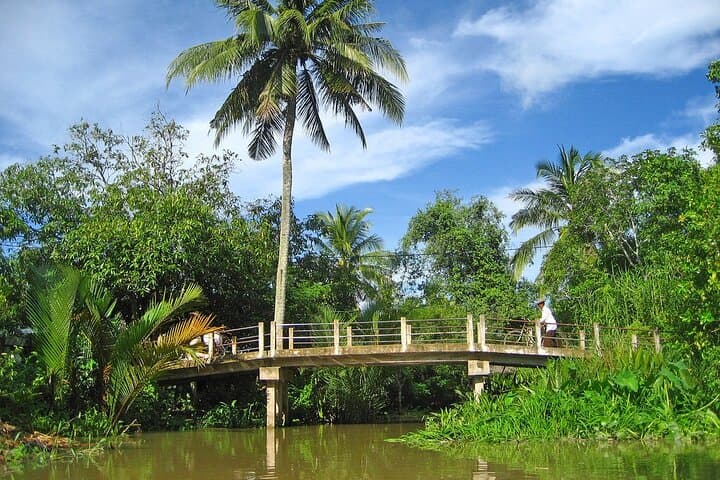 2-Day Mekong Delta Immersion: Floating Markets, Sampans and Orchard Life photo 3