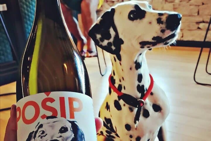 Sip Posip on Korcula: Private Wine Tour & Tastings photo 5
