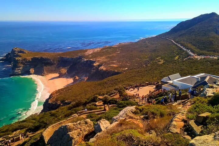 Cape Peninsula Scenic Drive: Cape Point, Penguins & Chapman's Peak Day Tour photo 5