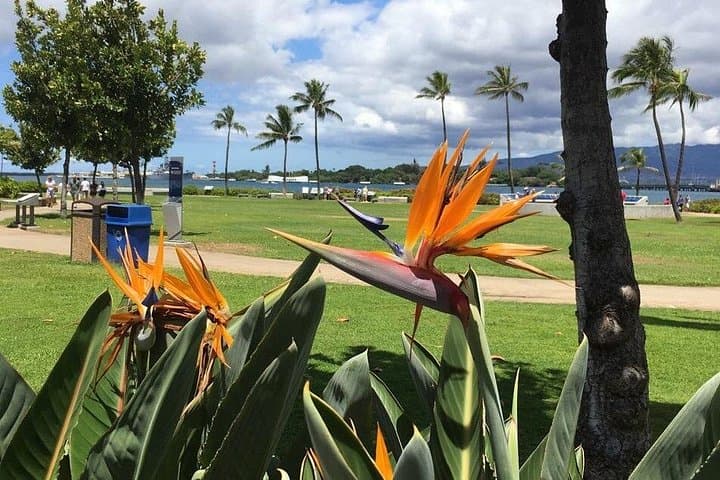 Pearl Harbor to North Shore: Full-Day Oahu Private Tour with Waterfall Swim photo 2