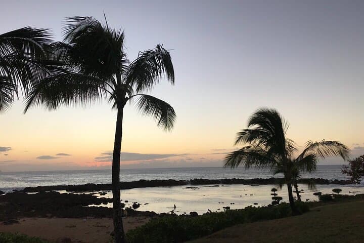 Pearl Harbor to North Shore: Private Full-Day Tour with USS Arizona Memorial & Haleiwa photo 3
