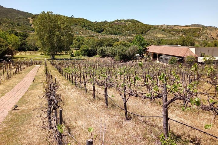 Oceanside Sidecar Tour: Oceanside Pier, San Luis Rey Mission & Deer Park Winery Tasting photo 3