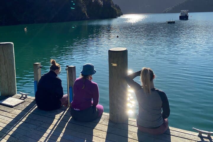 Half-Day Sea Kayak Trip from Picton — Paddle Grove Arm in Queen Charlotte Sound photo 3