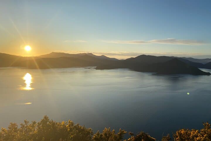 Half-Day Sea Kayak Trip from Picton — Paddle Grove Arm in Queen Charlotte Sound photo 4