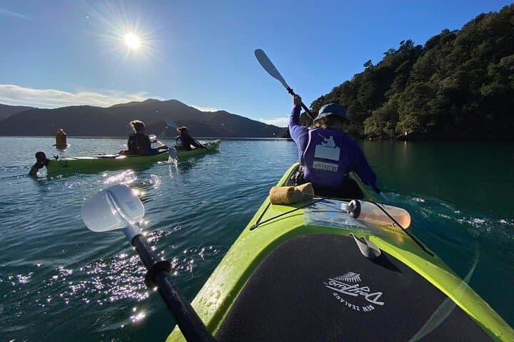 Half-Day Sea Kayak Trip from Picton — Paddle Grove Arm in Queen Charlotte Sound photo 5
