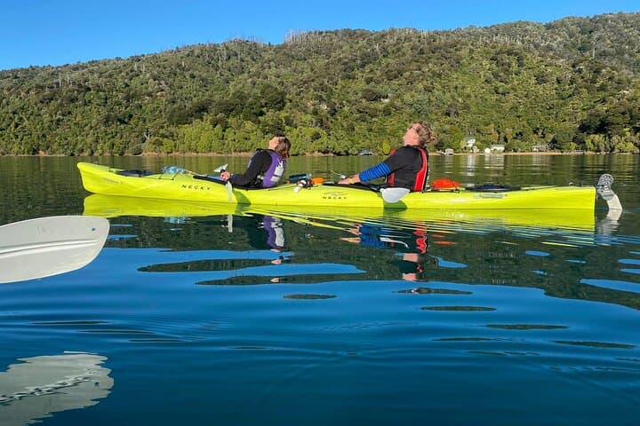 Half-Day Sea Kayak Trip from Picton — Paddle Grove Arm in Queen Charlotte Sound photo 6