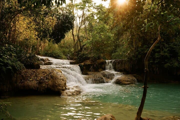 Half-Day Kuang Si Waterfall Tour from Luang Prabang — Pools, Trails & Village Stops photo 3