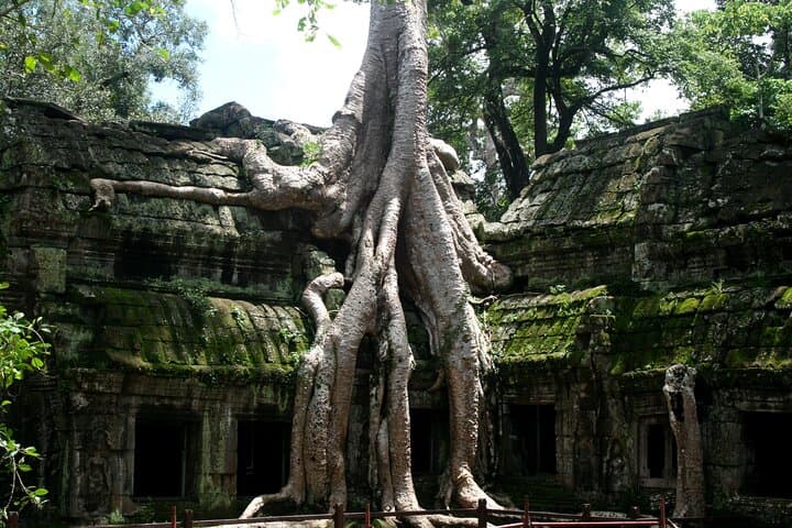 Hanoi to Halong to Siem Reap: 7-Day UNESCO Highlights Tour photo 5