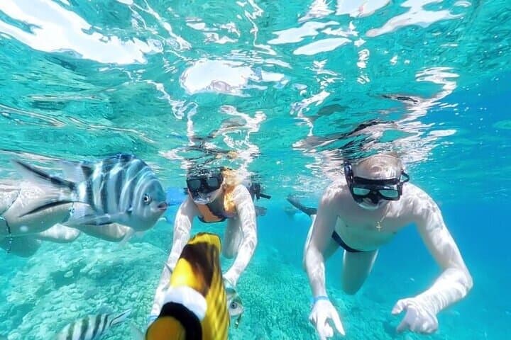 Hurghada Dolphin House Full-Day Snorkel Trip with Lunch photo 2