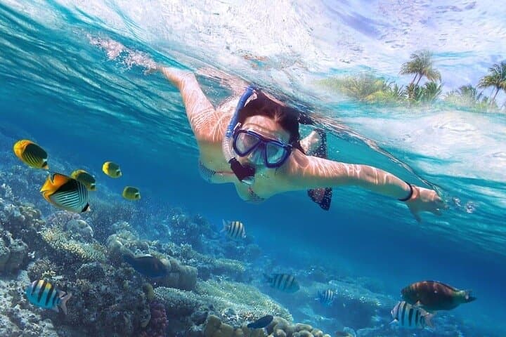 Hurghada Dolphin House Full-Day Snorkel Trip with Lunch photo 3