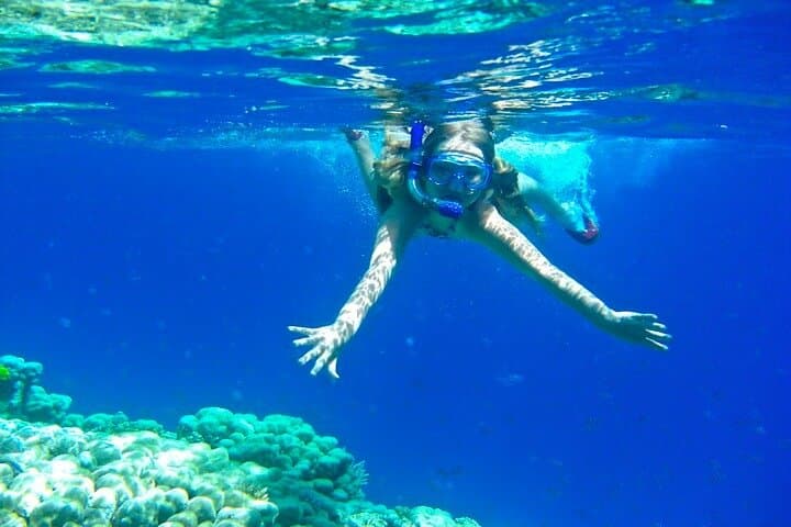 Hurghada Dolphin House Full-Day Snorkel Trip with Lunch photo 5