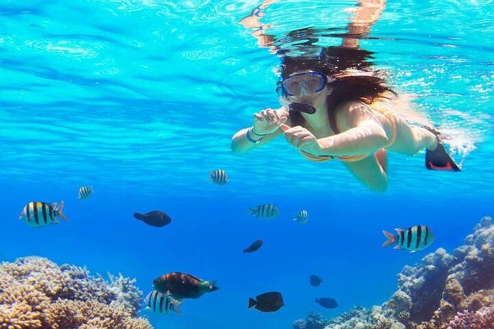 Hurghada Dolphin House Full-Day Snorkel Trip with Lunch photo 6