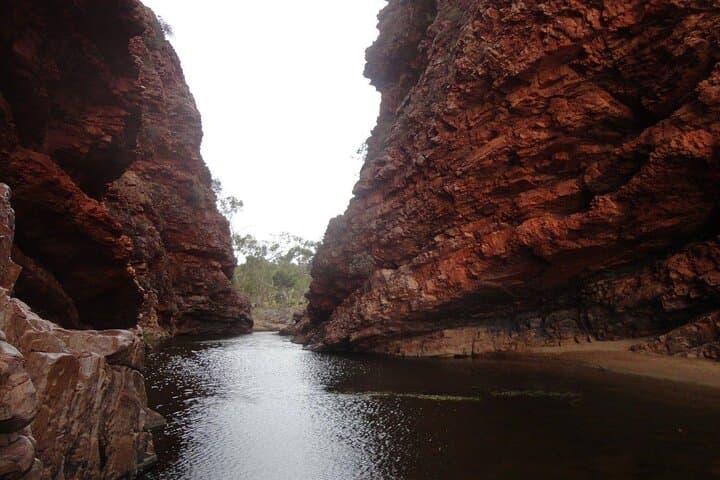 West MacDonnell Ranges Half-Day Tour from Alice Springs — Simpsons Gap & Standley Chasm photo 3