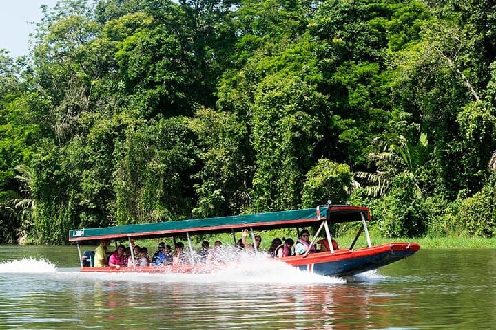 Costa Rica Highlights 8-Day Adventure: Tortuguero, Arenal & Nicoya Coast photo 5