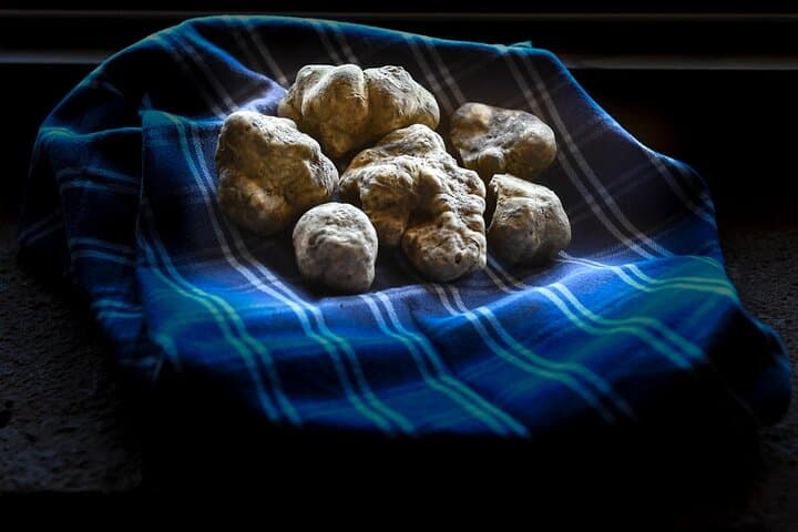 Truffle Hunting & Handmade Pasta Experience Near Ascoli Piceno — Hands-On Agriturismo Day photo 3