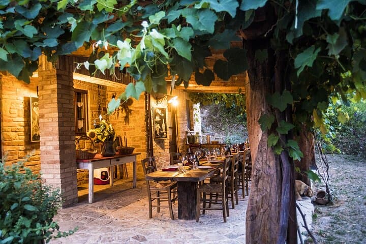 Truffle Hunting & Handmade Pasta Experience Near Ascoli Piceno — Hands-On Agriturismo Day photo 4