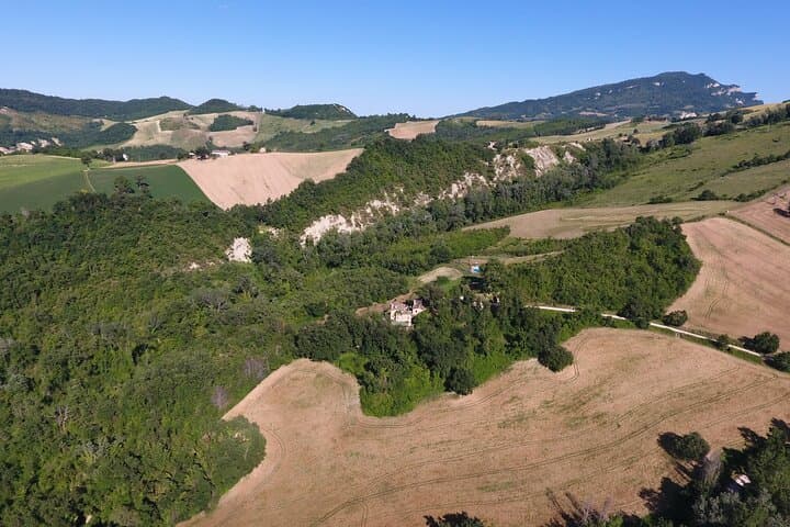 Truffle Hunting & Handmade Pasta Experience Near Ascoli Piceno — Hands-On Agriturismo Day photo 6