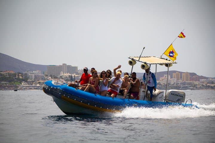 South Tenerife Sea Safari: 3-Hour Private Dolphin & Whale Watching with Snorkeling photo 2