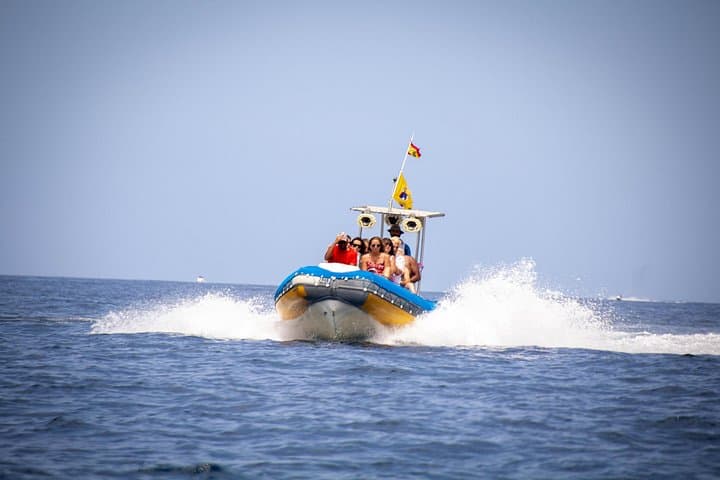 South Tenerife Sea Safari: 3-Hour Private Dolphin & Whale Watching with Snorkeling photo 1