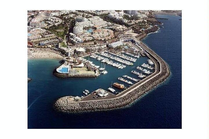 South Tenerife Sea Safari: 3-Hour Private Dolphin & Whale Watching with Snorkeling photo 3