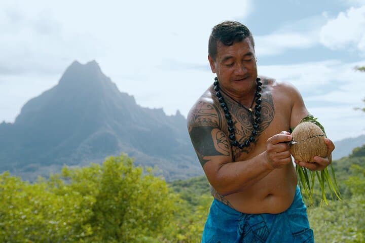 Moorea 4x4 Safari: Private Swing Viewpoint, Belvedere Lookout, and Pineapple Valleys photo 5