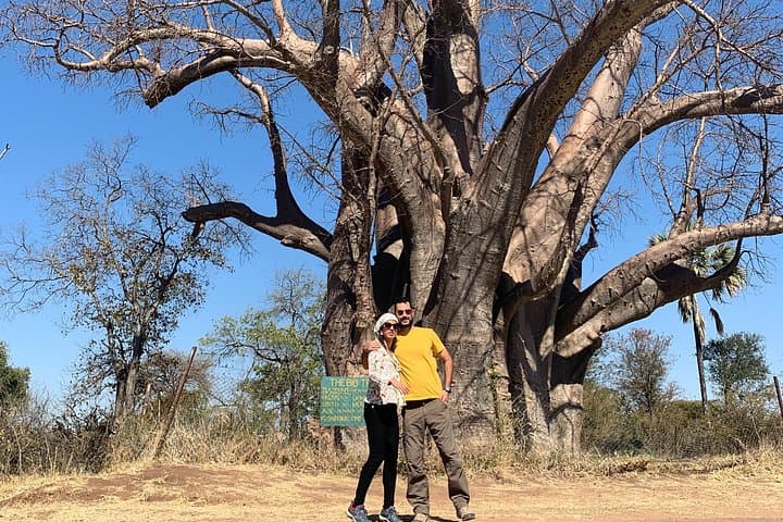 4-Day Vic Falls, Hwange & Matopos Tour — Safari, History and the Falls photo 1