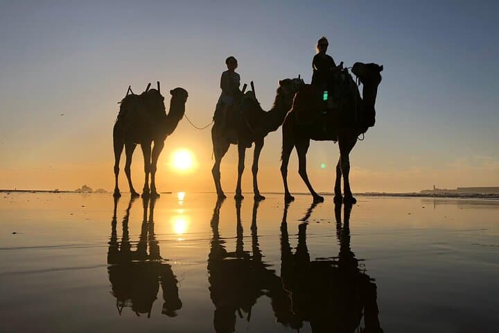 Sunset Camel Ride on Essaouira's Atlantic Beaches — 3-Hour Coastal Caravan photo 6