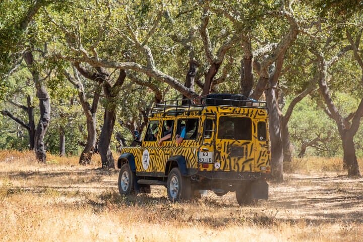 Half-Day Jeep Safari in Algarve: Inland Villages, Springs & Moorish Traditions