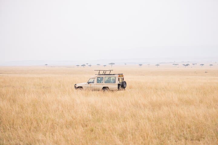 Two-Day Private Safari: Diani Beach to Tsavo East National Park