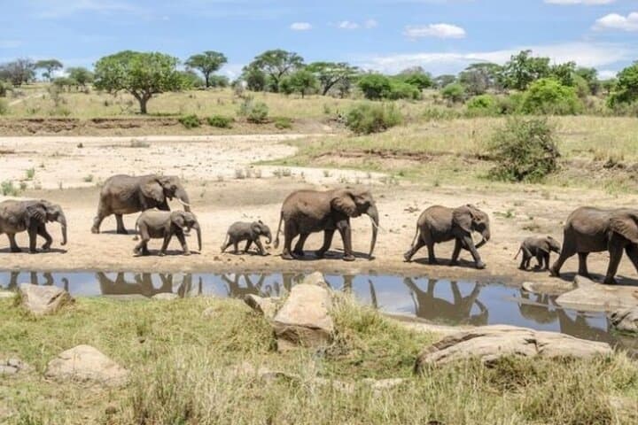 Diani Beach to Tsavo East & West — 2-Day Private Safari from Diani Beach photo 2