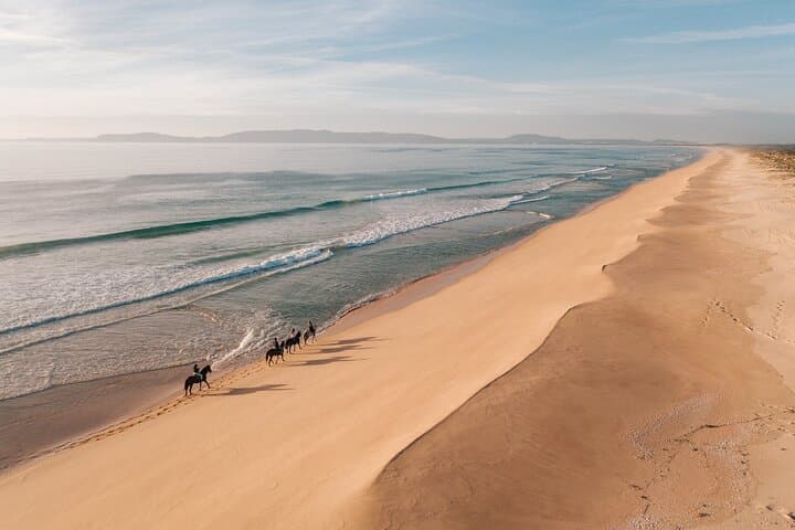 Beach Horseback Riding from Lisbon: 1.5-Hour Comporta Ride with Private Transfer photo 2