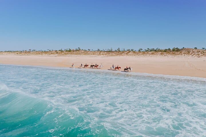 Beach Horseback Riding from Lisbon: 1.5-Hour Comporta Ride with Private Transfer photo 3