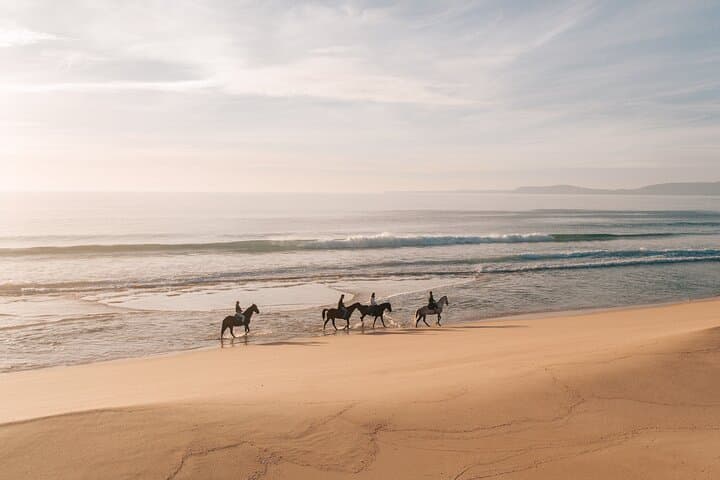 Beach Horseback Riding from Lisbon: 1.5-Hour Comporta Ride with Private Transfer photo 4