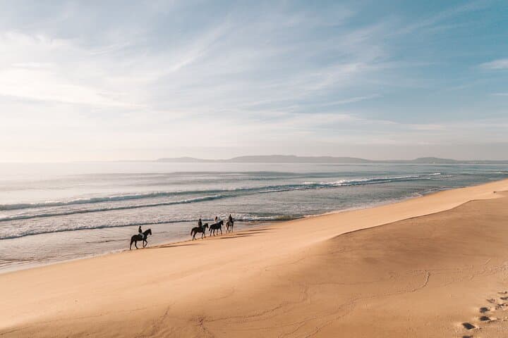 Beach Horseback Riding from Lisbon: 1.5-Hour Comporta Ride with Private Transfer photo 6