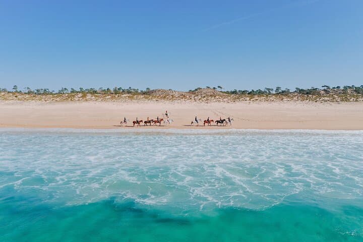 Beach Horseback Riding from Lisbon: 1.5-Hour Comporta Ride with Private Transfer