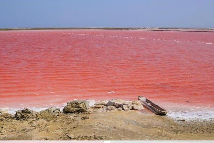 Totumo Mud Volcano and Mar Rosa Pink Sea Day Trip from Cartagena photo 3