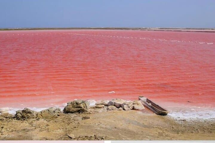 Totumo Mud Volcano & Pink Sea Day Tour from Cartagena — Mud Baths and Salt Flats photo 6