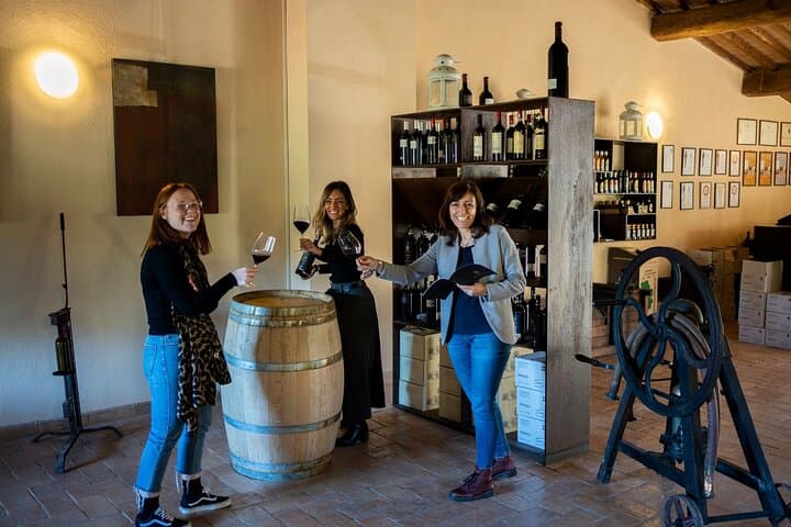 Private Vineyard Walk and Cellar Tasting in Val di Chiana, Tuscany photo 2